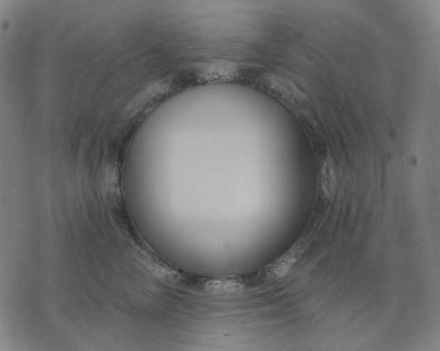 X0000074260714200609081736