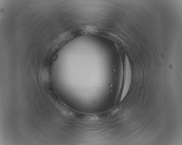 X0000074260715200609081736