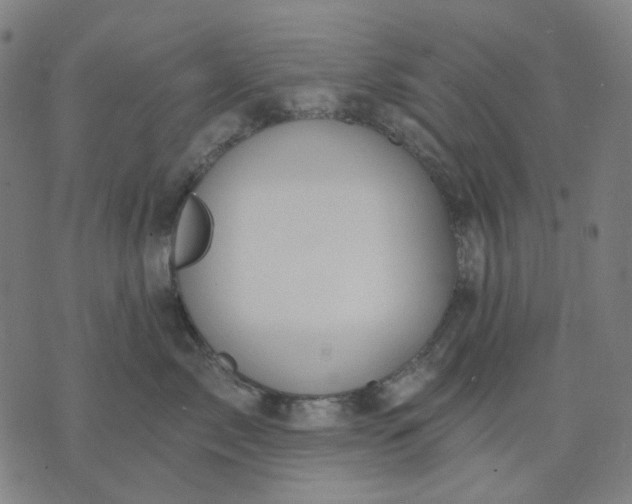 X0000074260717200609081736