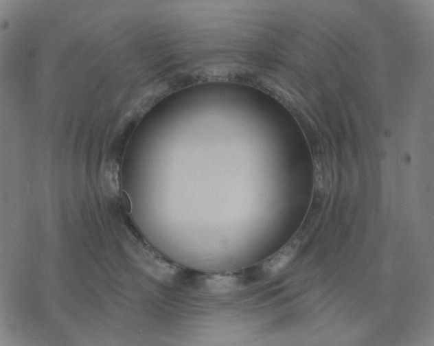 X0000074260718200609081736