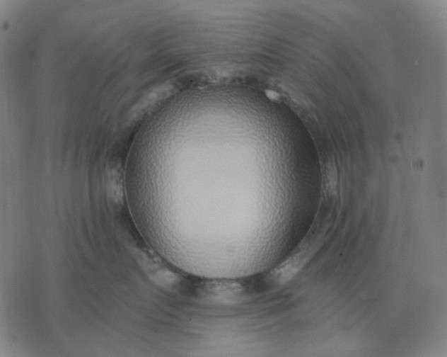 X0000074260719200609081736