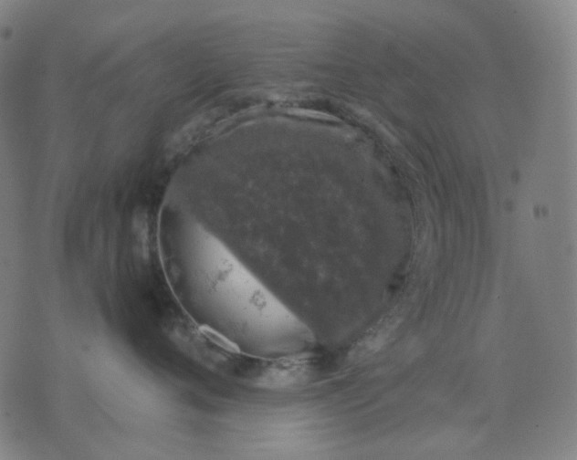 X0000074260720200609081736