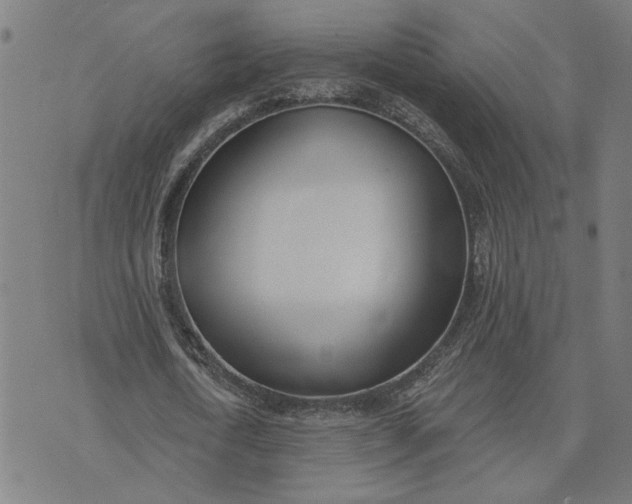 X0000074260722200609081735