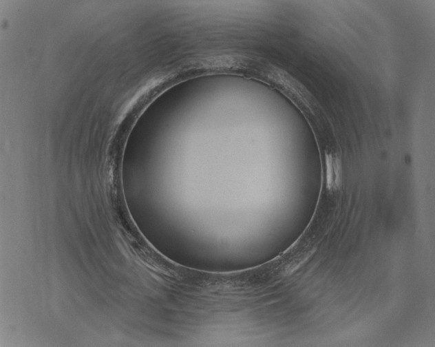 X0000074260723200609081735