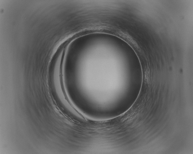 X0000074260724200609081735