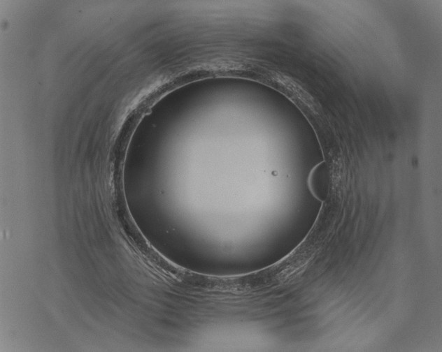 X0000074260727200609081735