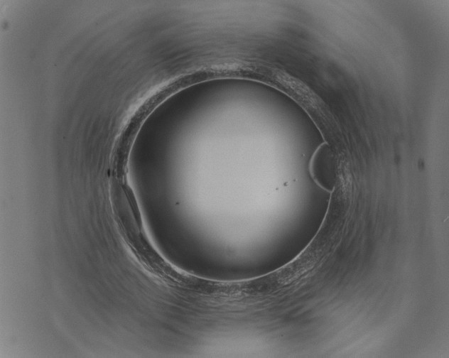 X0000074260728200609081735