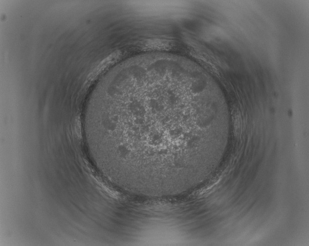 X0000074260729200609081735