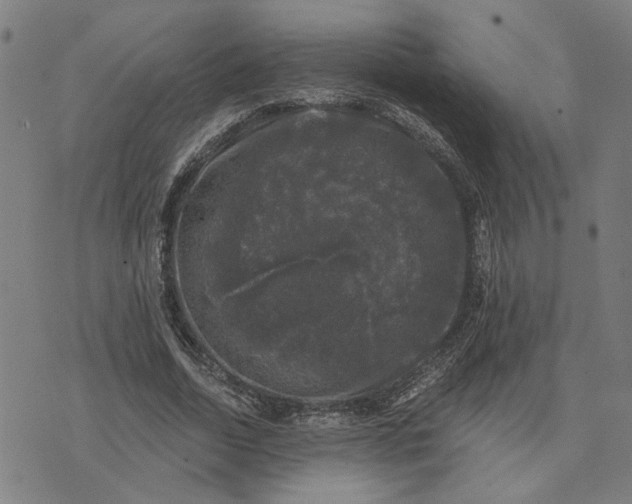 X0000074260730200609081735