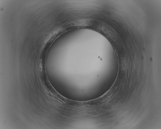 X0000074260731200609081735