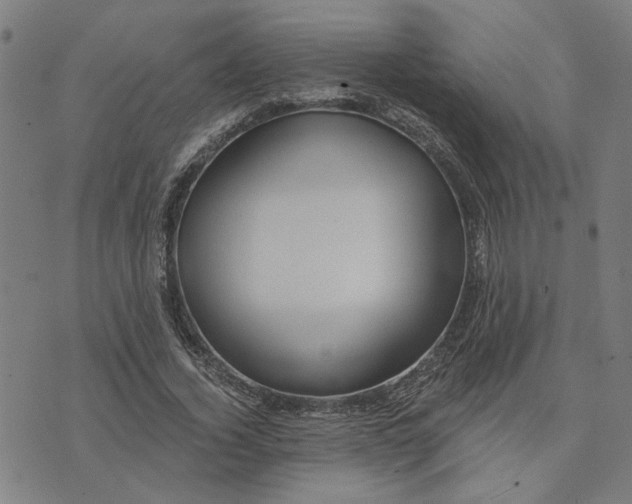 X0000074260732200609081735