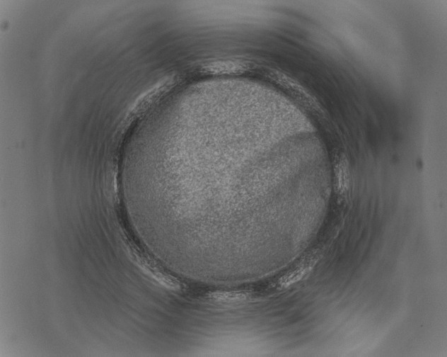 X0000074260733200609081735