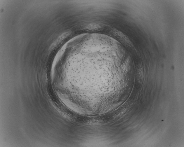 X0000074260734200609081735