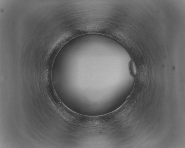 X0000074260735200609081735