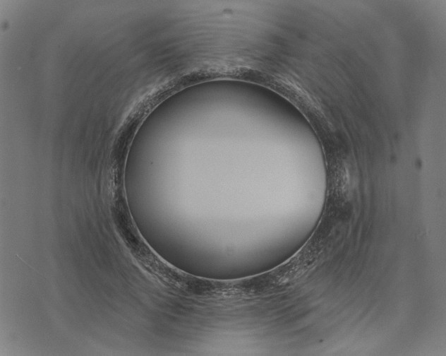 X0000074260736200609081736