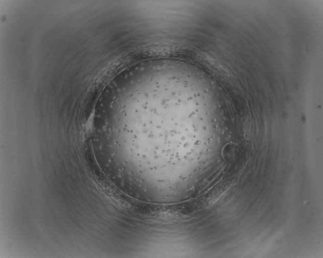 X0000074260737200609081736