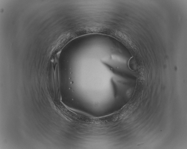 X0000074260738200609081736