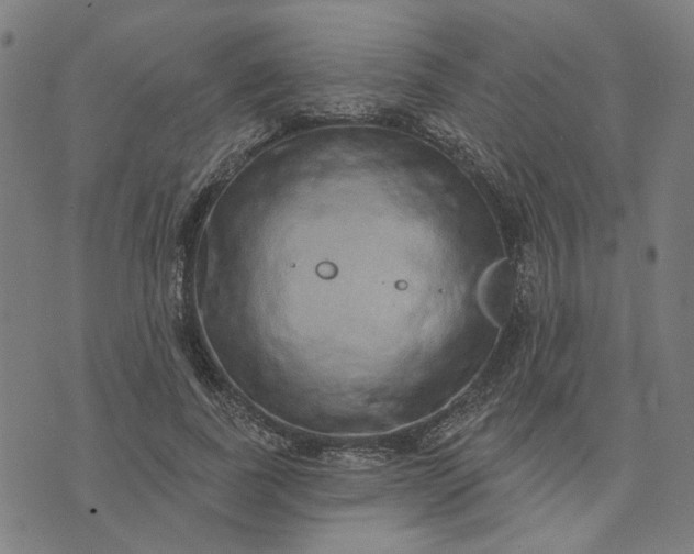 X0000074260739200609081736