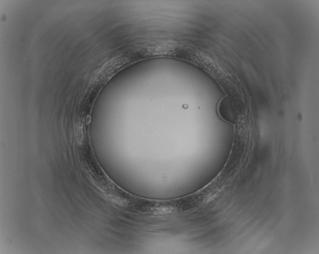 X0000074260741200609081736