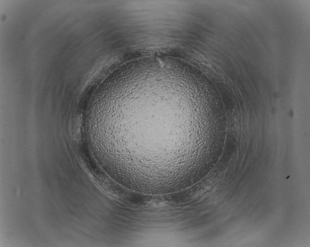 X0000074260742200609081736