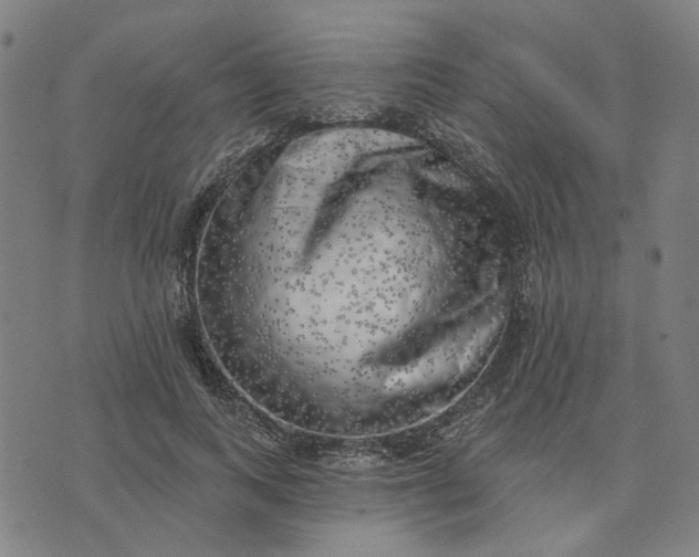 X0000074260743200609081736