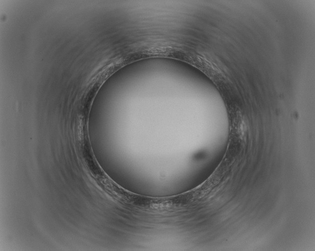 X0000074260744200609081736