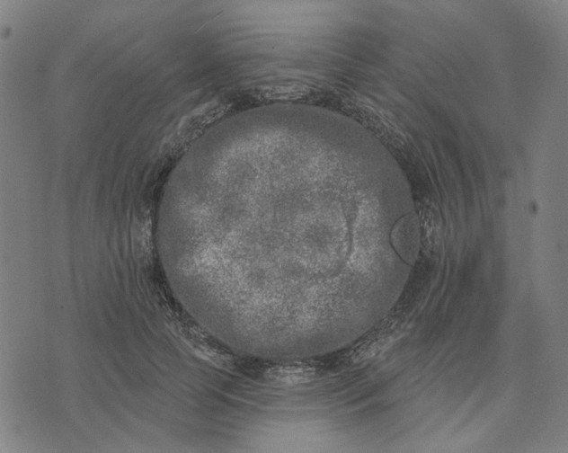 X0000074260745200609081736