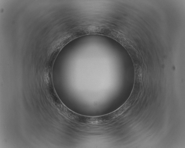 X0000074260746200609081736