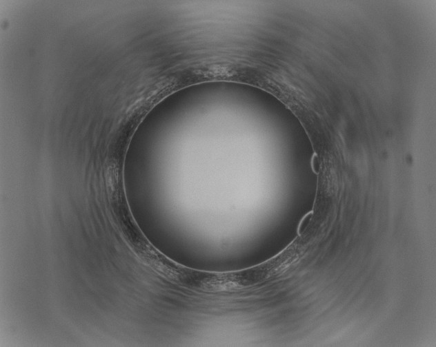 X0000074260747200609081736