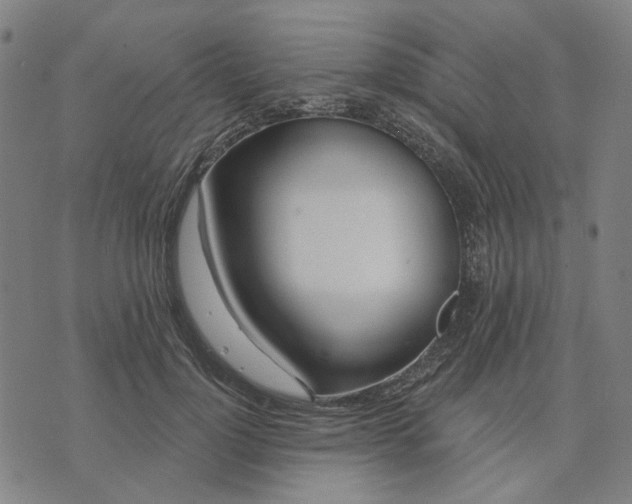 X0000074260748200609081736