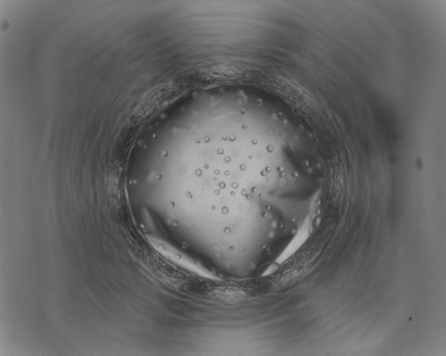 X0000074260749200609081736