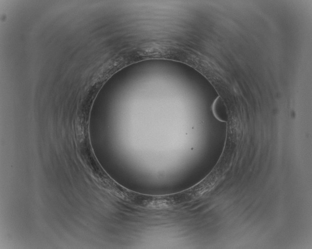 X0000074260751200609081736