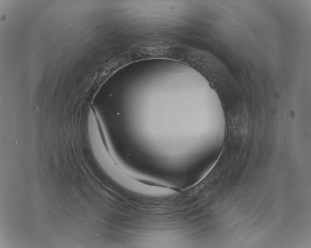 X0000074260752200609081736