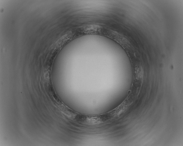 X0000074260753200609081736