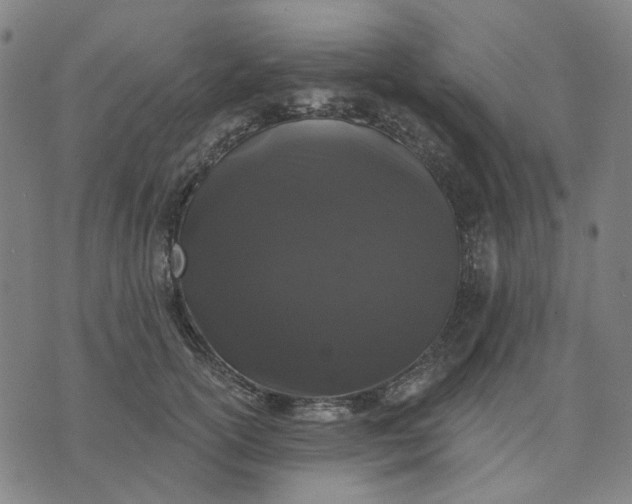 X0000074260754200609081736