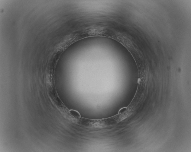 X0000074260755200609081736