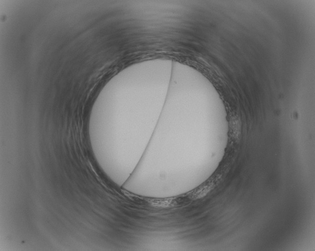 X0000074260757200609081736