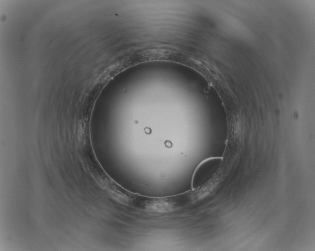 X0000074260759200609081736