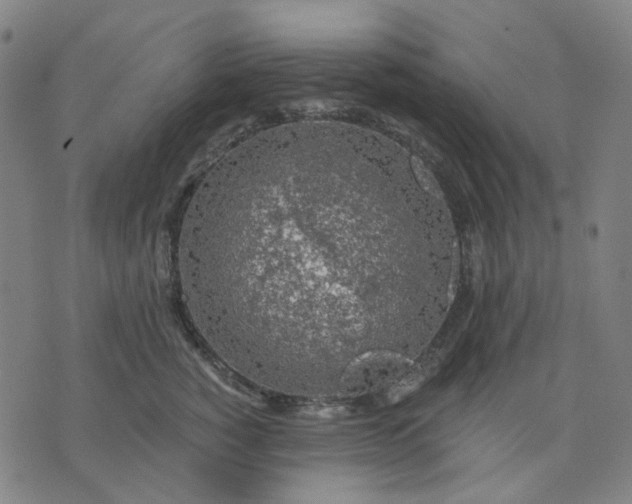 X0000074260760200609081736