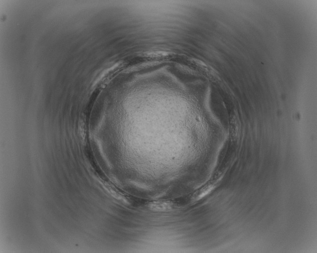 X0000074260762200609081736