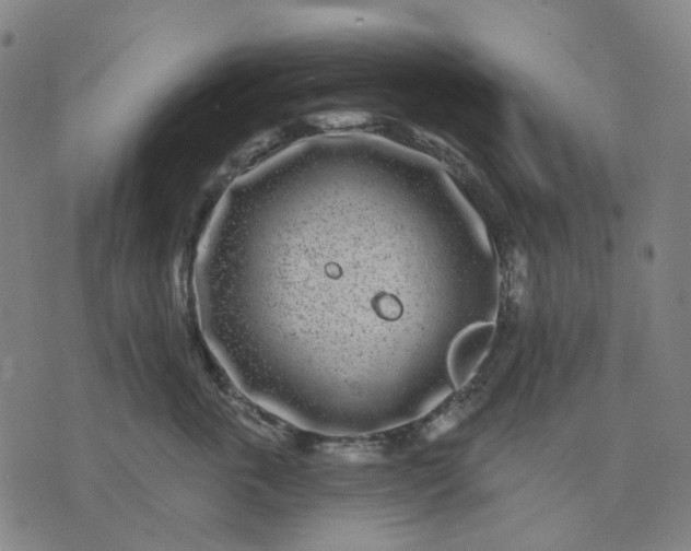 X0000074260763200609081736