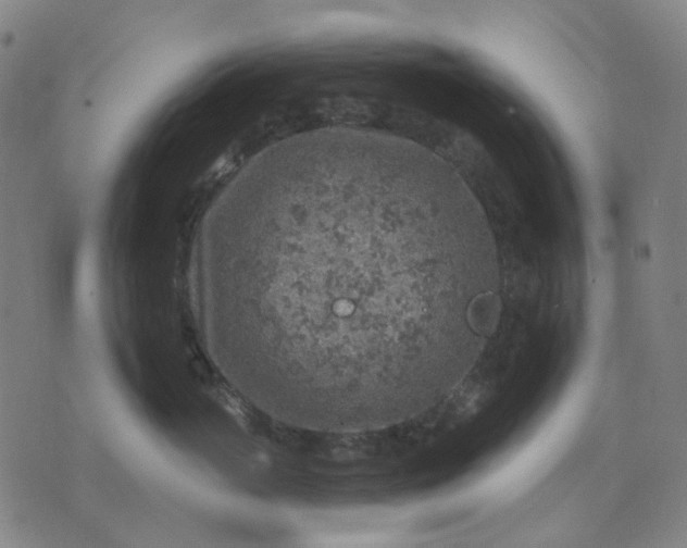 X0000074260765200609081736