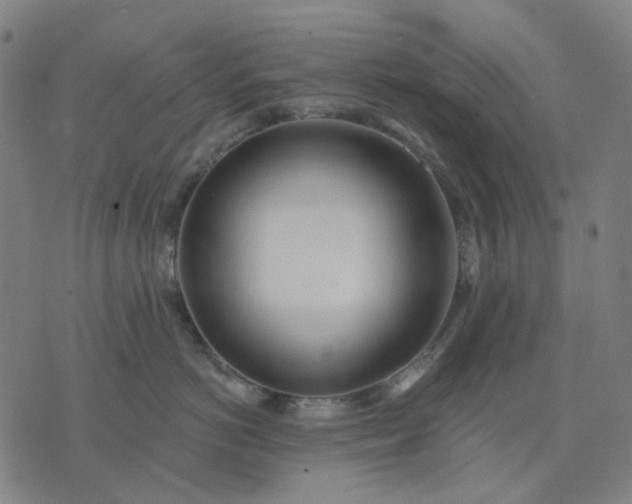 X0000074260766200609081736