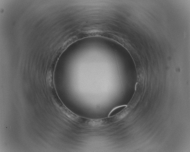 X0000074260767200609081736