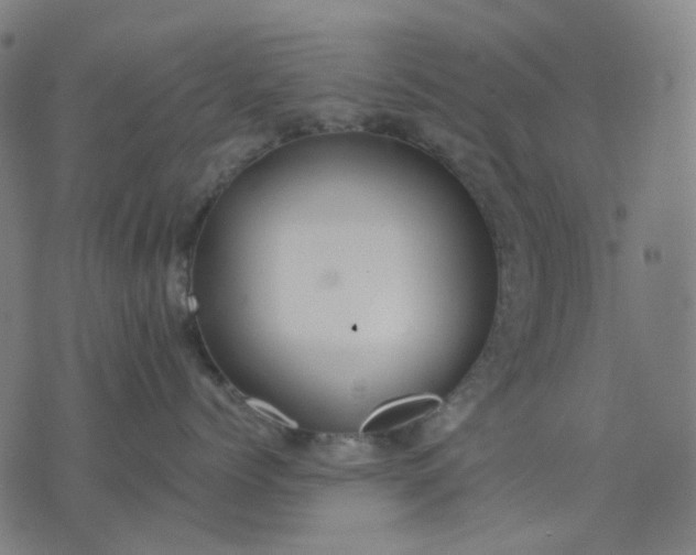 X0000074260768200609081736