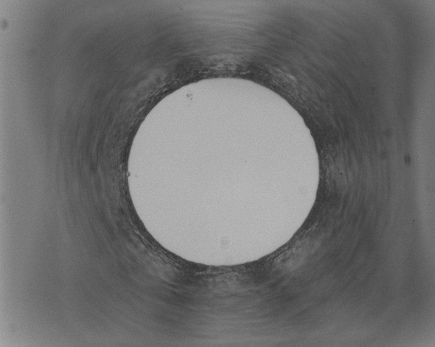 X0000074260769200609081735