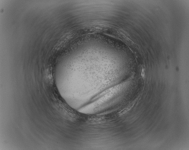 X0000074260771200609081735