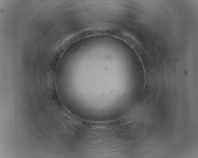 X0000074260773200609081735