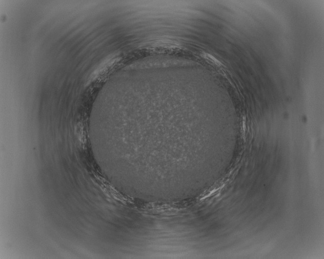 X0000074260774200609081735