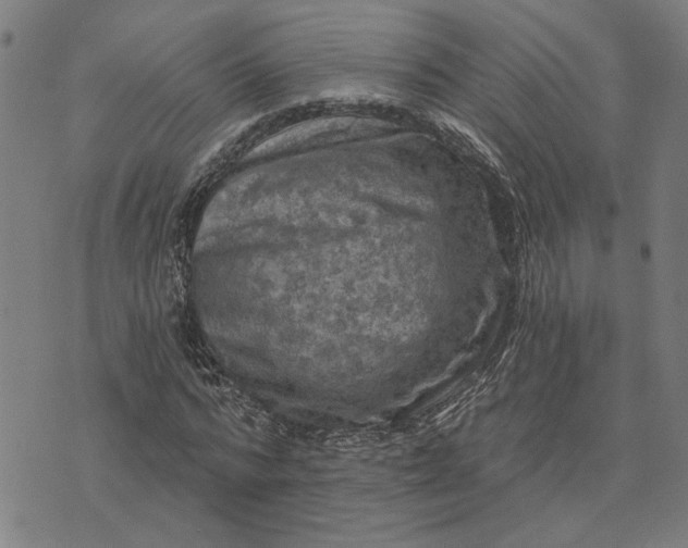 X0000074260776200609081735